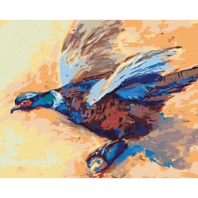 zuty Malování Podle Čísel Barevný Bažant 80 x 100 Cm Plátno Rám