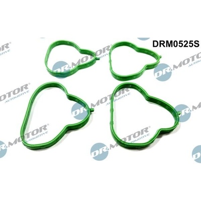 Sada tesnení kolena nasávacieho potrubia Dr.Motor Automotive DRM0525S