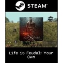 Hry na PC Life is Feudal Your Own