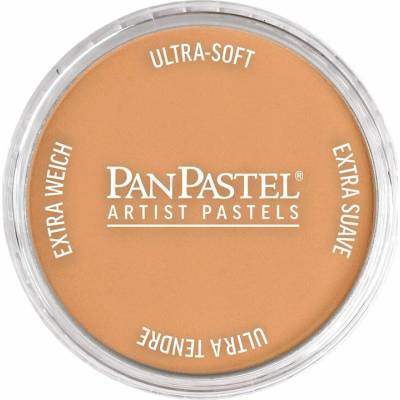 PanPastel Metallic Dry Pastel 9 ml 930,5 bronzová