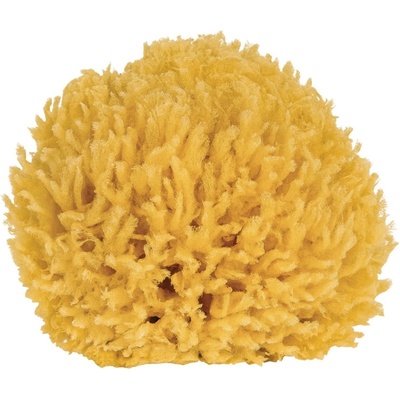 Croll & Denecke prírodná morská špongia 10 cm
