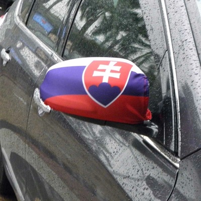 Potah na auto-zrcátka SR