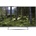 Panasonic TX-42AS650E