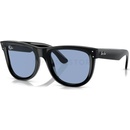 Ray-Ban Wayfarer Reverse RBR0502S 667772