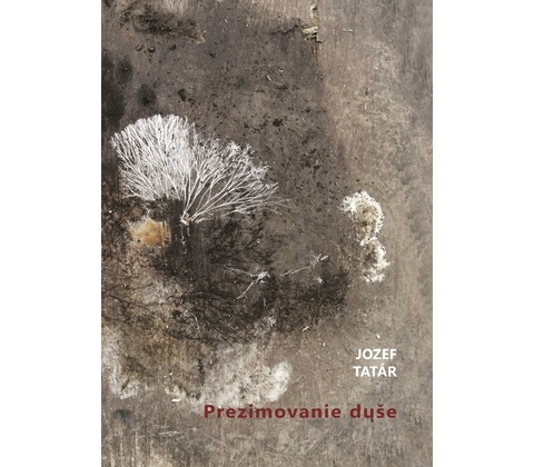 Prezimovanie duše