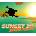 Sunset 20 Drone Racer