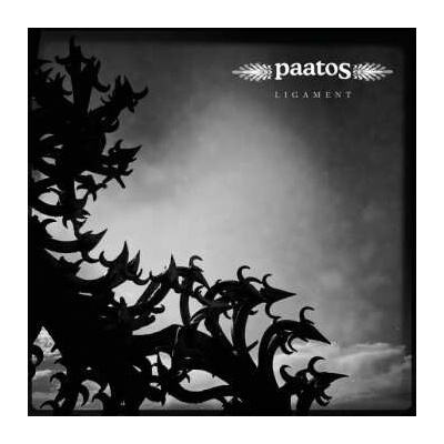 Paatos: Ligament CD