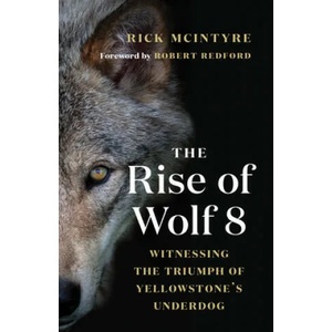 Rise of Wolf 8 (ISBN: 9781771647809)