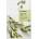 Mizon Joyful Time Essence Mask Olive, листова маска за лице със зехтин (8809479166482)