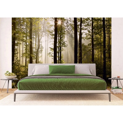 AG Design FTNS-2447 Vliesová fototapeta Ranní les rozměry 360 x 270 cm
