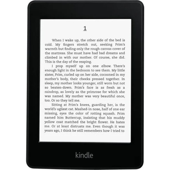 Amazon Kindle Paperwhite II (4GB) (2014)