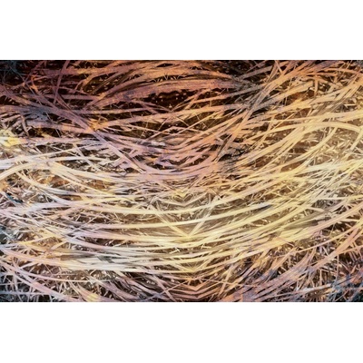 DIMEX MS-5-0381 vliesová fototapeta rozměry 375 x 250 cm