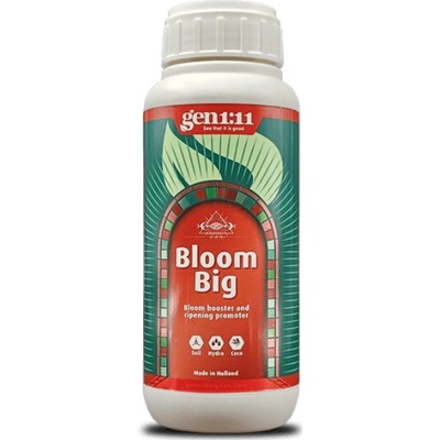 Gen 1:11 Bloom Big 250 ml