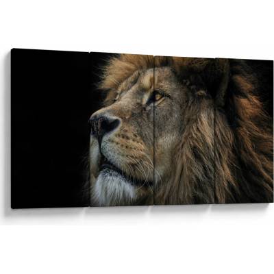 Obraz - Majestátny lev, štvordielne 160x80 cm