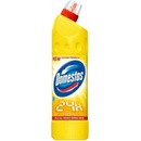 DOMESTOS 24H - PINE FRESH ČISTIACI A DEZINF. PROSTRIEDOK 750 ml