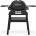 Weber Q 1200N Stand 1501085
