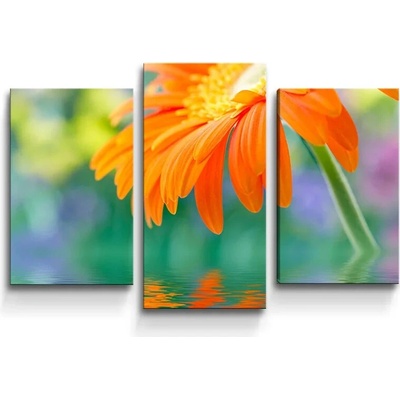 Sablio Obraz - 3-dílný Oranžová gerbera - 75x50 cm