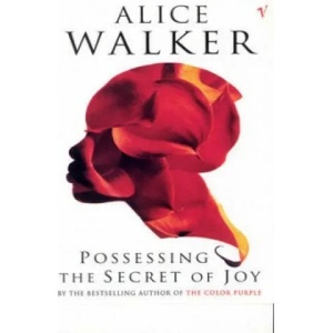 Possessing The Secret Of Joy | Alice Walker (ISBN: 9780099224112)