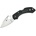 Spyderco Dragonfly 2 C28PGRE2