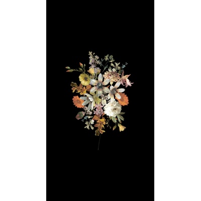 Esta Home 159215 vliesová fototapeta na zeď Vintage Flowers, rozměry 2 x 2,79 m