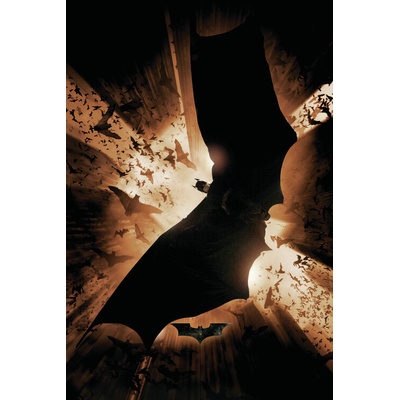 Europosters Plagát, Obraz - The Dark Knight Trilogy - Bat Wings, 26.7 × 40 cm