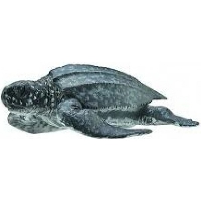 Collecta Kožatka velká