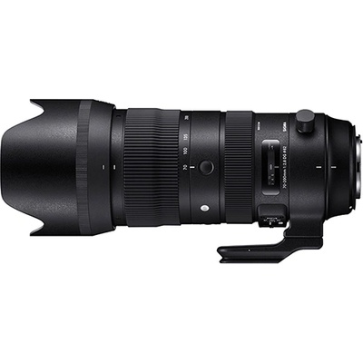 Sigma 70-200/2.8 DG OS HSM Sports (590)