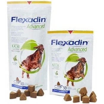 Flexadin Advanced pre psov 60 tbl.