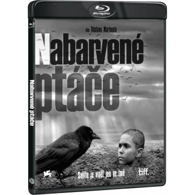 MagicBox The Painted Bird - 2Blu-ray (Film+bonus disk) (031023)