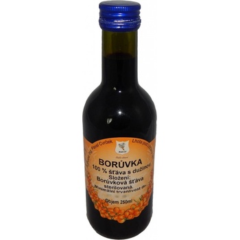 Cvrček Borůvka 100% šťáva 250 ml