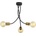 Jupiter 1876