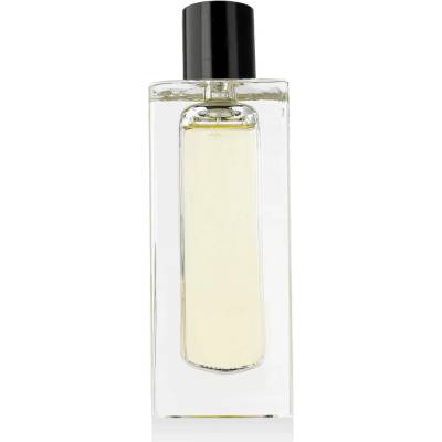 Filippo Sorcinelli Vento Forte parfum unisex 50 ml tester