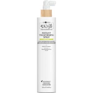 Hair Company Professional Hair Company Inimitable Style Creative Inspiration Must Have Instant Trasforming Spray 250 ml