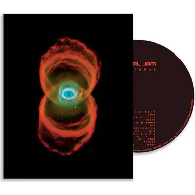 Sony Music Pearl Jam: Binaural (25th Anniversary Edition) - Blu-ray (083068)