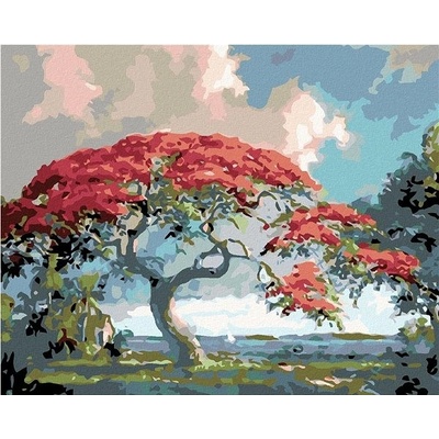 zuty Malování podle čísel Rudá bonsai 50 x 40 cm vypnuté plátno na rám