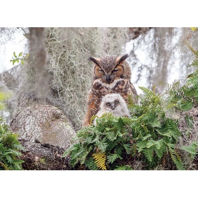 Cobble Hill - Puzzle Great Horned Owl - 1 000 piese
