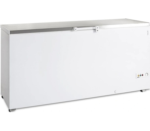 Tefcold FR 605 S SL