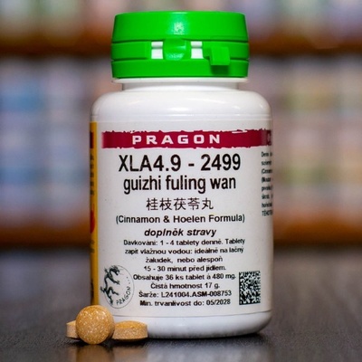Pragon XLA4.9 2499 36 tablet
