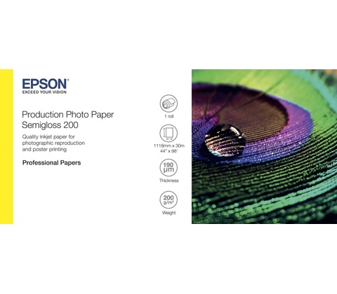 Epson C13S450378