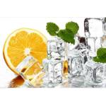 DIMEX ART Флизелинов фототапет лимон и лед 375 x 250 см