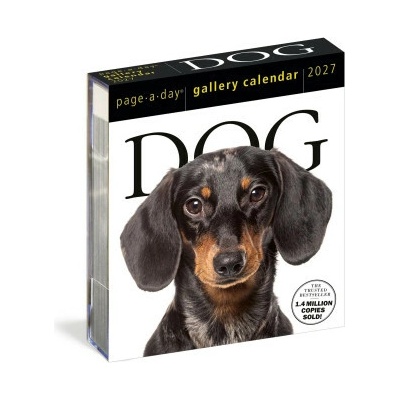 Dog Page-A-Day Gallery Workman 2027