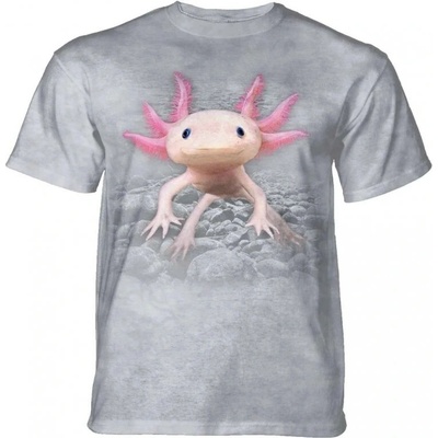 The Mountain Axolotl vodný dráčik sivé