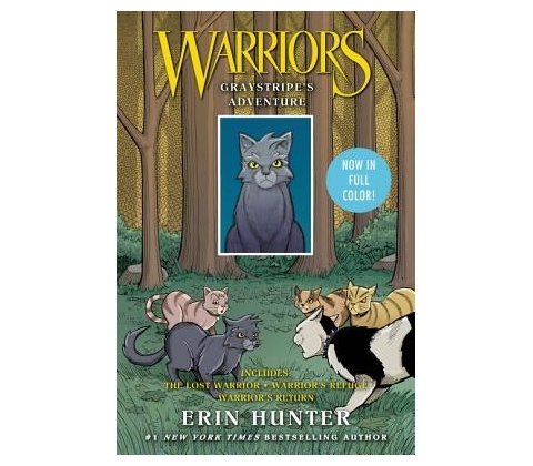WARRIORS GRAYSTRIPES ADV