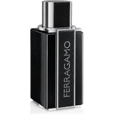 Ferragamo Sublime Leather Intense parfumovaná voda pánska 100 ml