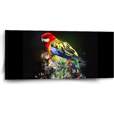 Sablio Obraz Farebný papagáj - 110x50 cm