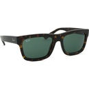 Ray-Ban Warren RB4396 135971