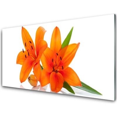 Obraz na akrylátovom skle Oranžové kvety 100x50 cm