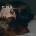 Dodie - Not For Lack Of Trying (Indie Exclusive) (Limited Edition) (Autographed) (LP) (0602478858086)