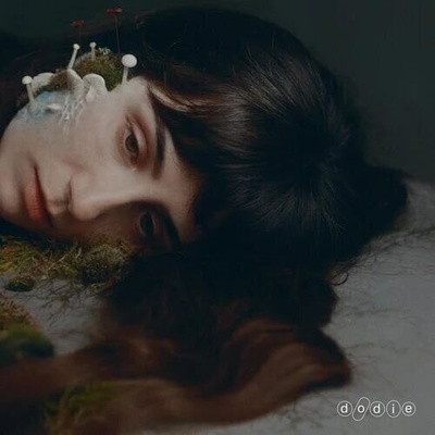Dodie - Not For Lack Of Trying (Indie Exclusive) (Limited Edition) (Autographed) (LP) (0602478858086)