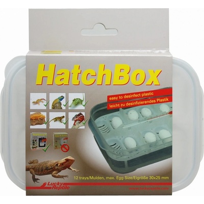 Lucky Reptile HatchBox 17x11 cm – Zboží Dáma